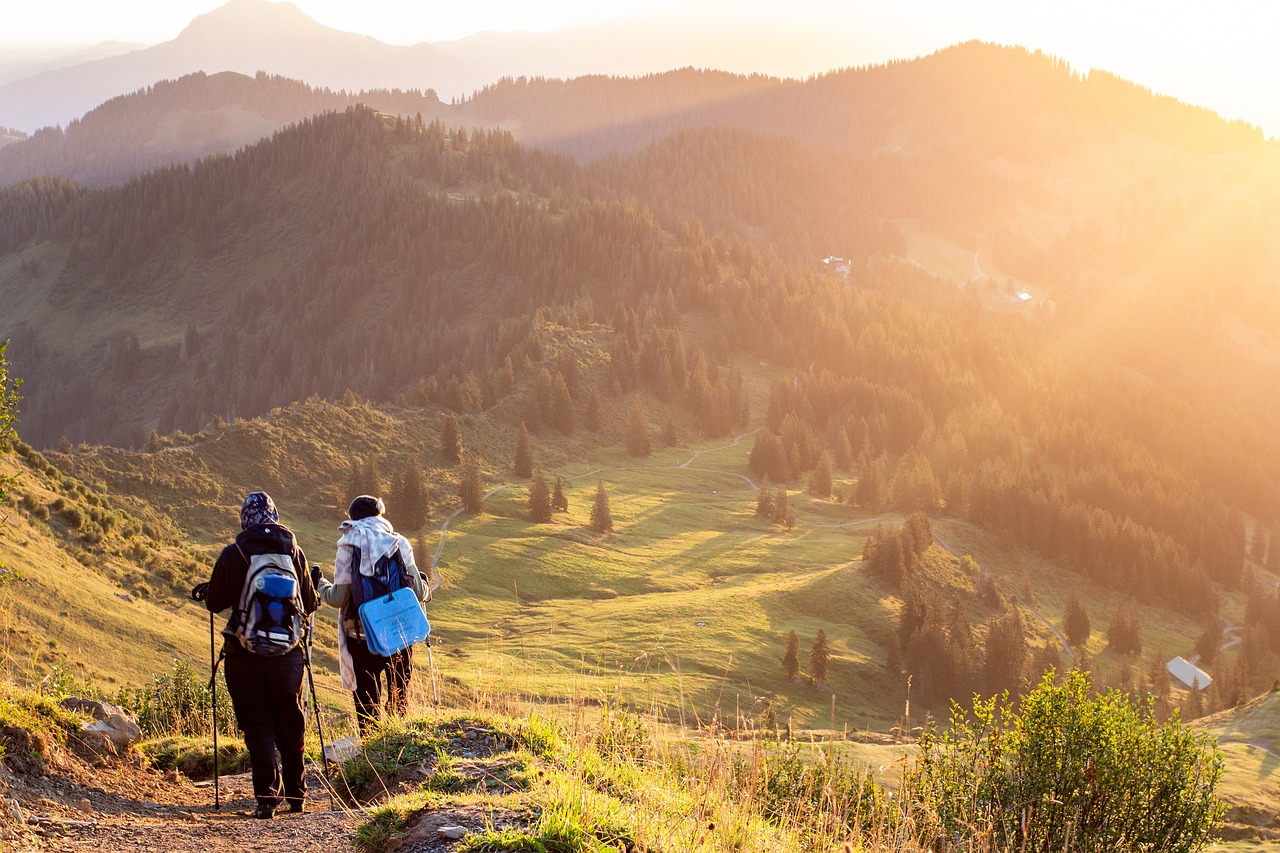 Two women carrying their hiking back is hiking. They are hiking in lush green forest. They both are using trekking pole 