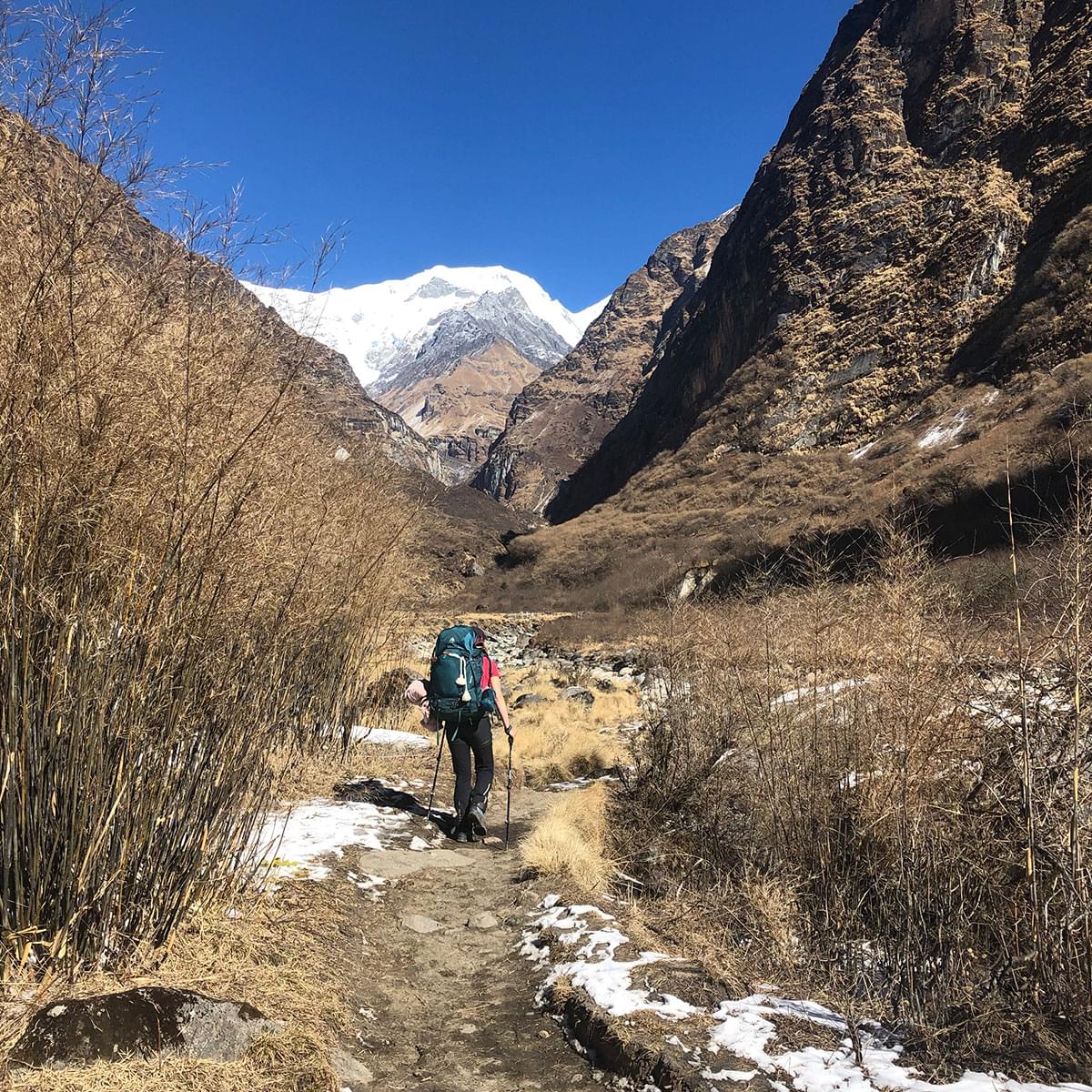 Annapurna Region