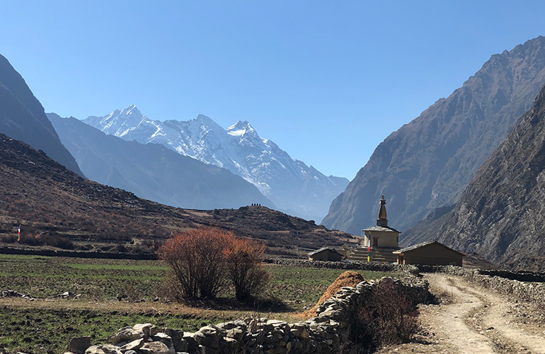 Save Environment to save Tsum Valley